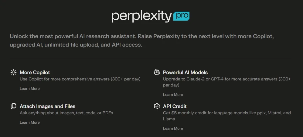 perplexity pro 版本功能